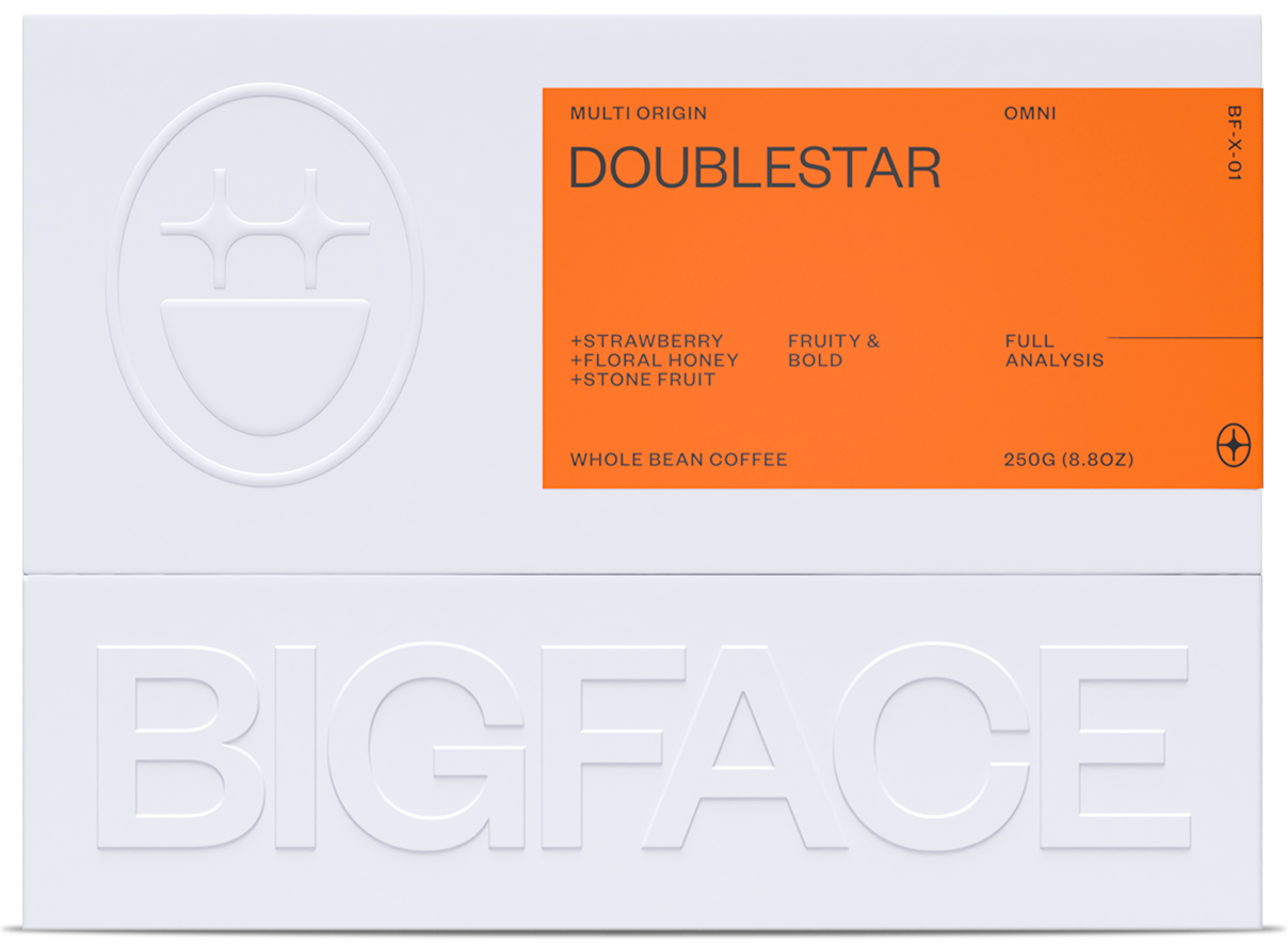 BF-X-01 – BIGFACE BRAND