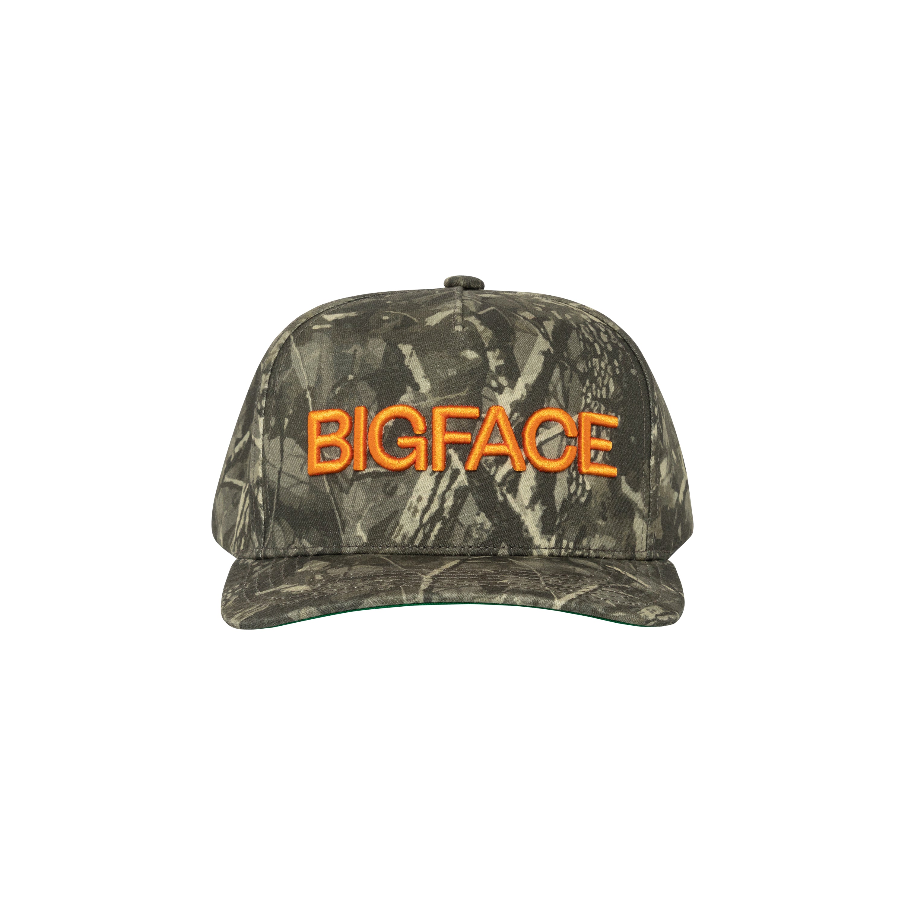 BigFace_Nov2025-138_a598fc73-