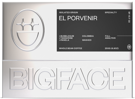 EL PORVENIR