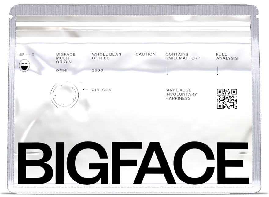 BF-X-01 – BIGFACE BRAND