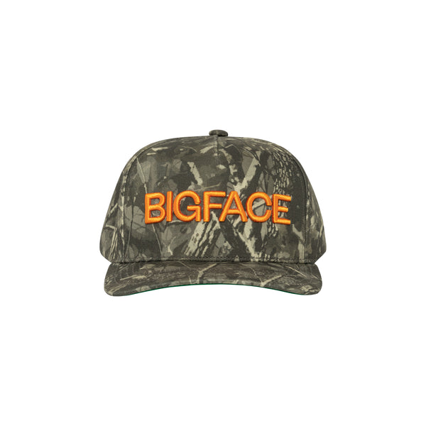 BigFace_Nov2025-138_a598fc73-