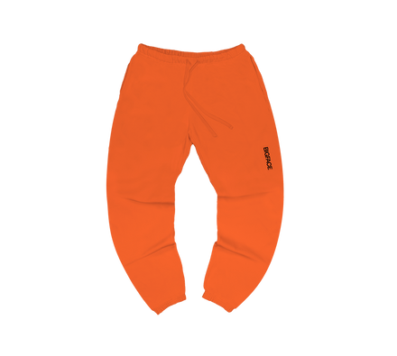 BIGFACE Limited Kit heavyweight brushed fleece joggers in orange, front view