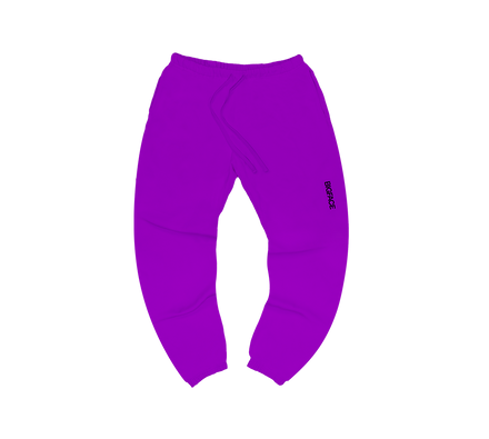 BIGFACE Limited Kit heavyweight brushed fleece joggers in purple, front view